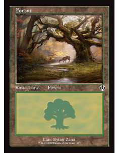 Forest - Foil