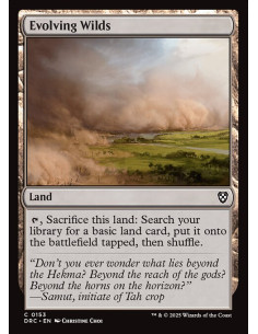 Evolving Wilds