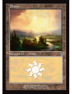 Plains - Foil