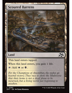 Scoured Barrens - Foil