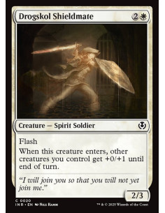 Drogskol Shieldmate - Foil