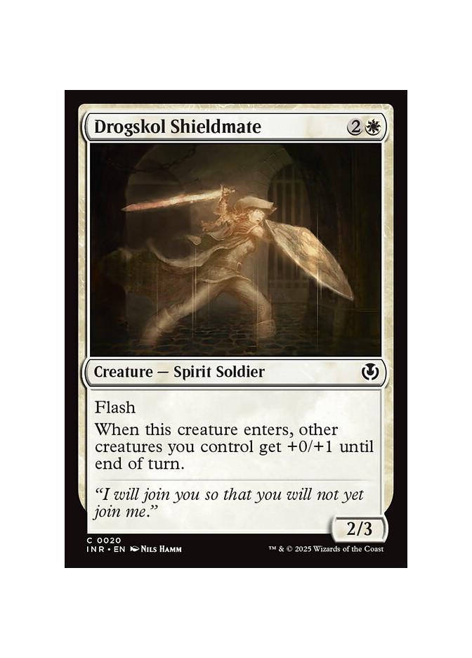 Drogskol Shieldmate - Foil