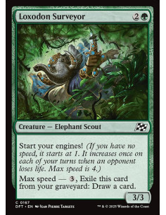 Loxodon Surveyor - Foil