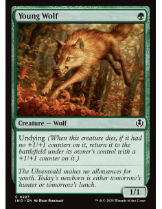 Young Wolf