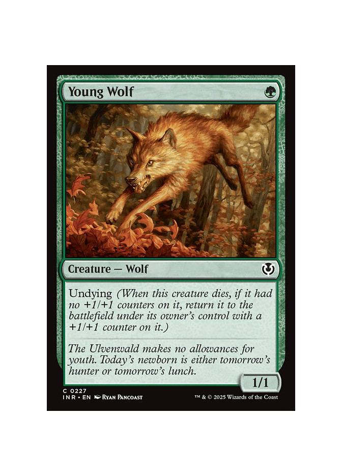 Young Wolf - Foil