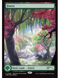 Forest - Foil
