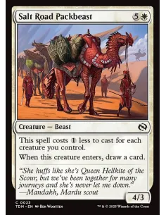 Salt Road Packbeast