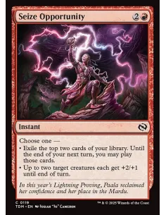 Seize Opportunity - Foil
