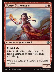 Sunset Strikemaster - Foil