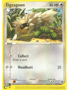 Zigzagoon
