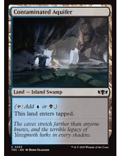 Contaminated Aquifer