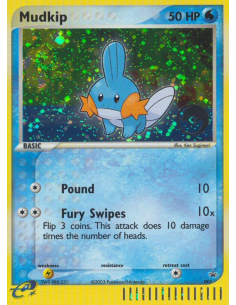 Mudkip