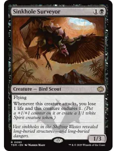 Sinkhole Surveyor - Foil