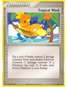 Tropical Wind