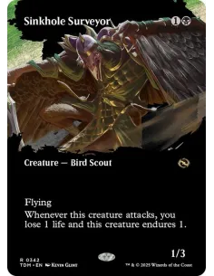 Sinkhole Surveyor - Foil