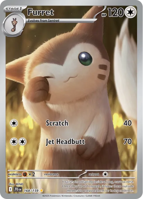 Furret