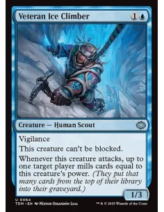 Veteran Ice Climber - Foil