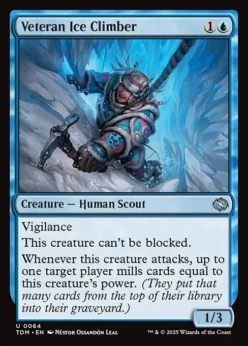 Veteran Ice Climber - Foil