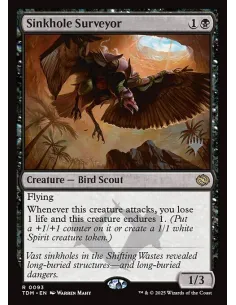 Sinkhole Surveyor