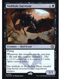 Sinkhole Surveyor - Foil