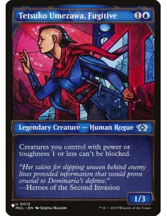 Tetsuko Umezawa, Fugitive