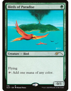 Birds of Paradise