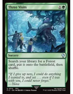 Three Visits - Foil