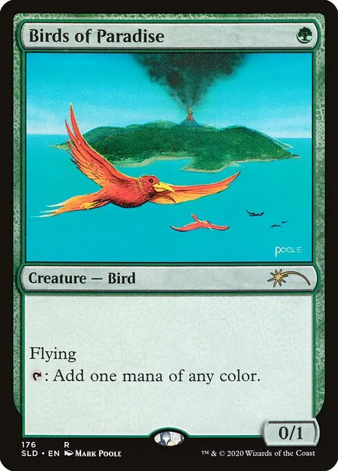 Birds of Paradise - Foil