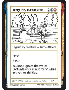 Terry Pin, Turboturtle