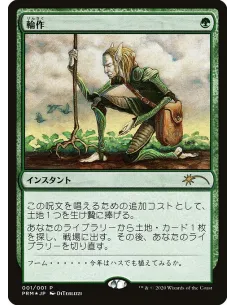 Crop Rotation - Foil