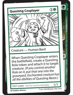 Questing Cosplayer