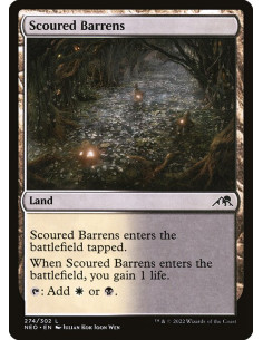 Scoured Barrens - Foil