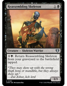 Reassembling Skeleton - Foil