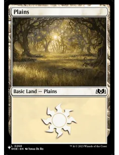 Plains