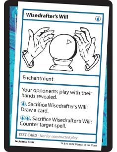 Wisedrafter's Will