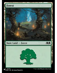 Forest