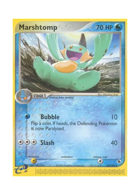 Marshtomp - Reverse Holo