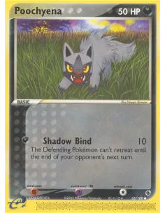 Poochyena - Reverse Holo