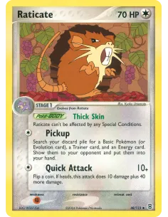 Raticate - Reverse Holo