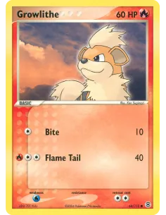 Growlithe - Reverse Holo