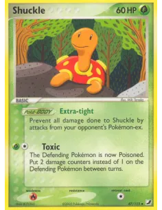 Shuckle - Reverse Holo