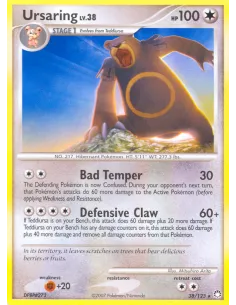 Ursaring - Reverse Holo