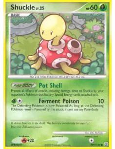 Shuckle - Reverse Holo