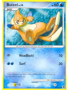 Buizel - Reverse Holo
