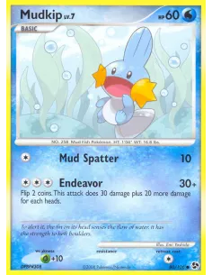 Mudkip - Reverse Holo