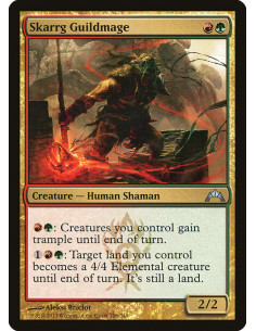 Skarrg Guildmage