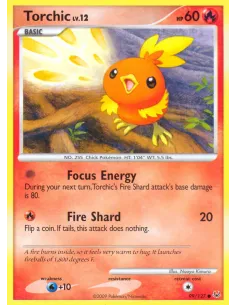 Torchic - Reverse Holo