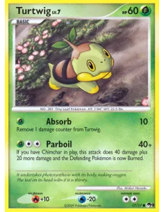 Turtwig - Reverse Holo