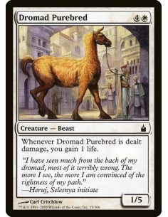 Dromad Purebred