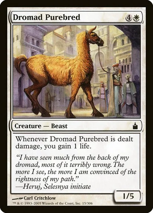 Dromad Purebred - Foil